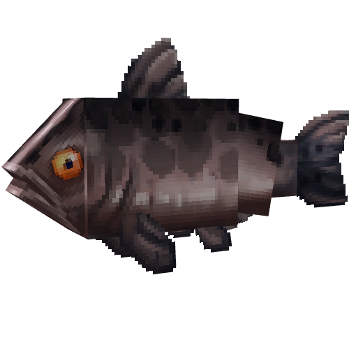 Salmon