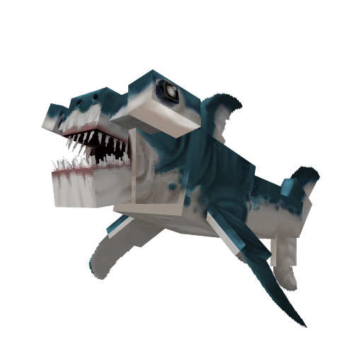 Hammerhead Shark