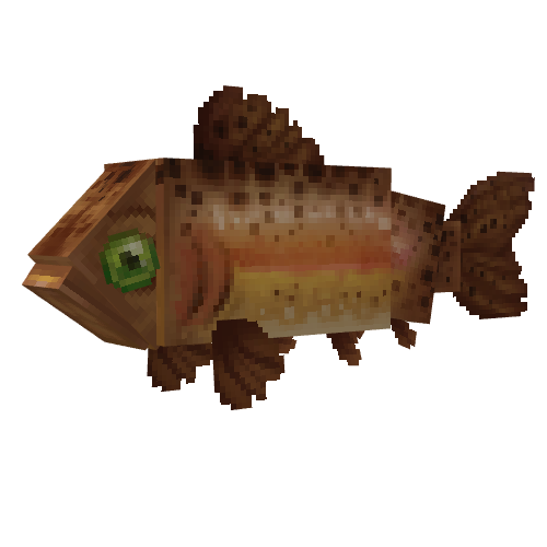 Rainbow Trout