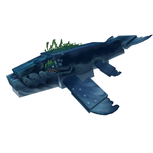 Humpback Whale